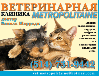 Veterinary clinic Metropolitaine