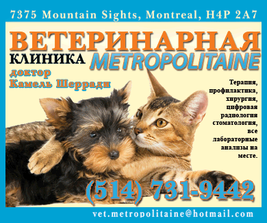 Veterinary clinic Metropolitaine